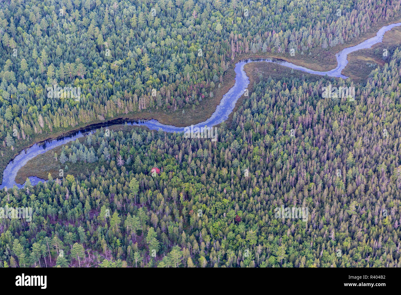 Finn Brook in the Reed Plantation, Reed, Maine Stock Photo Alamy