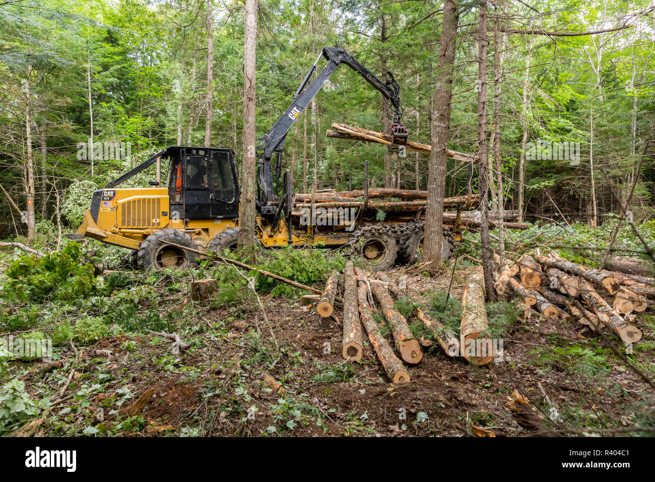 Log forwarder moving logs Reed Plantation, Reed, Maine Stock Photo Alamy