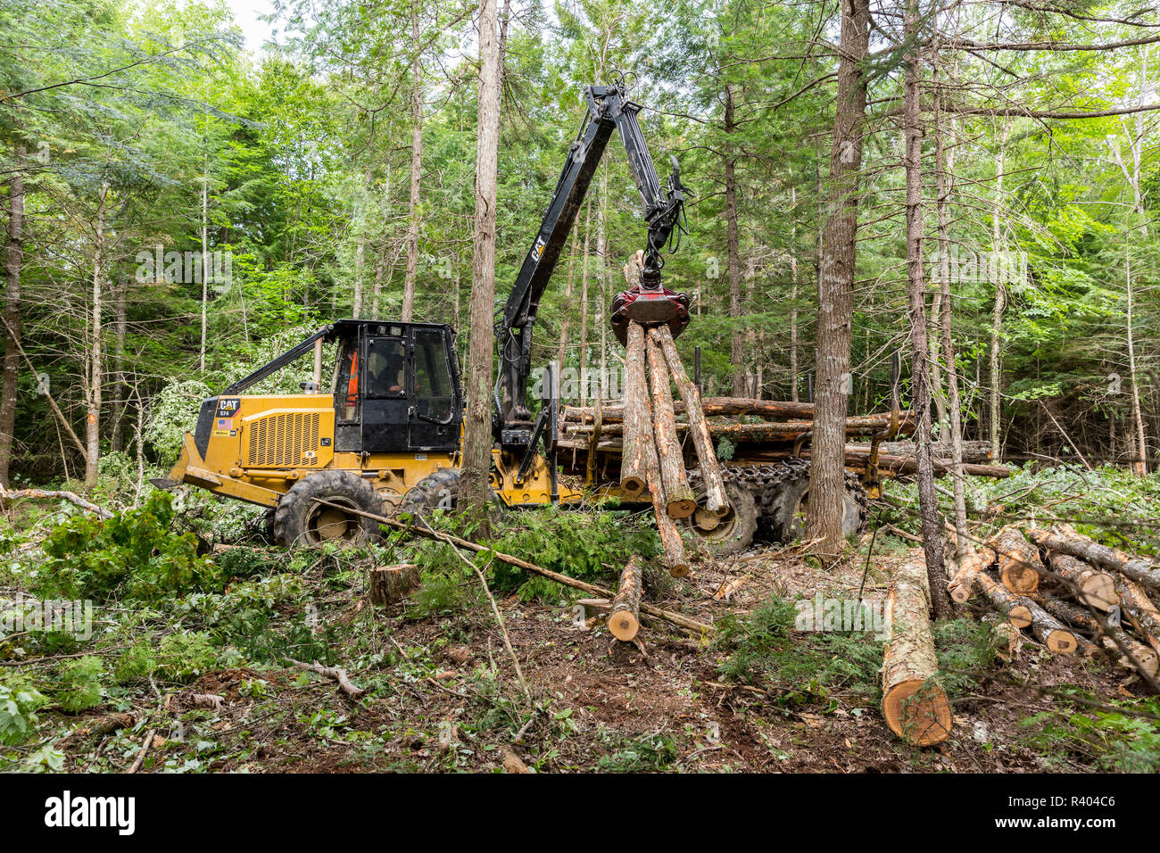 Log forwarder moving logs Reed Plantation, Reed, Maine Stock Photo Alamy