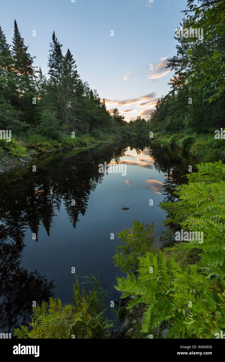 Wytopitlock hires stock photography and images Alamy