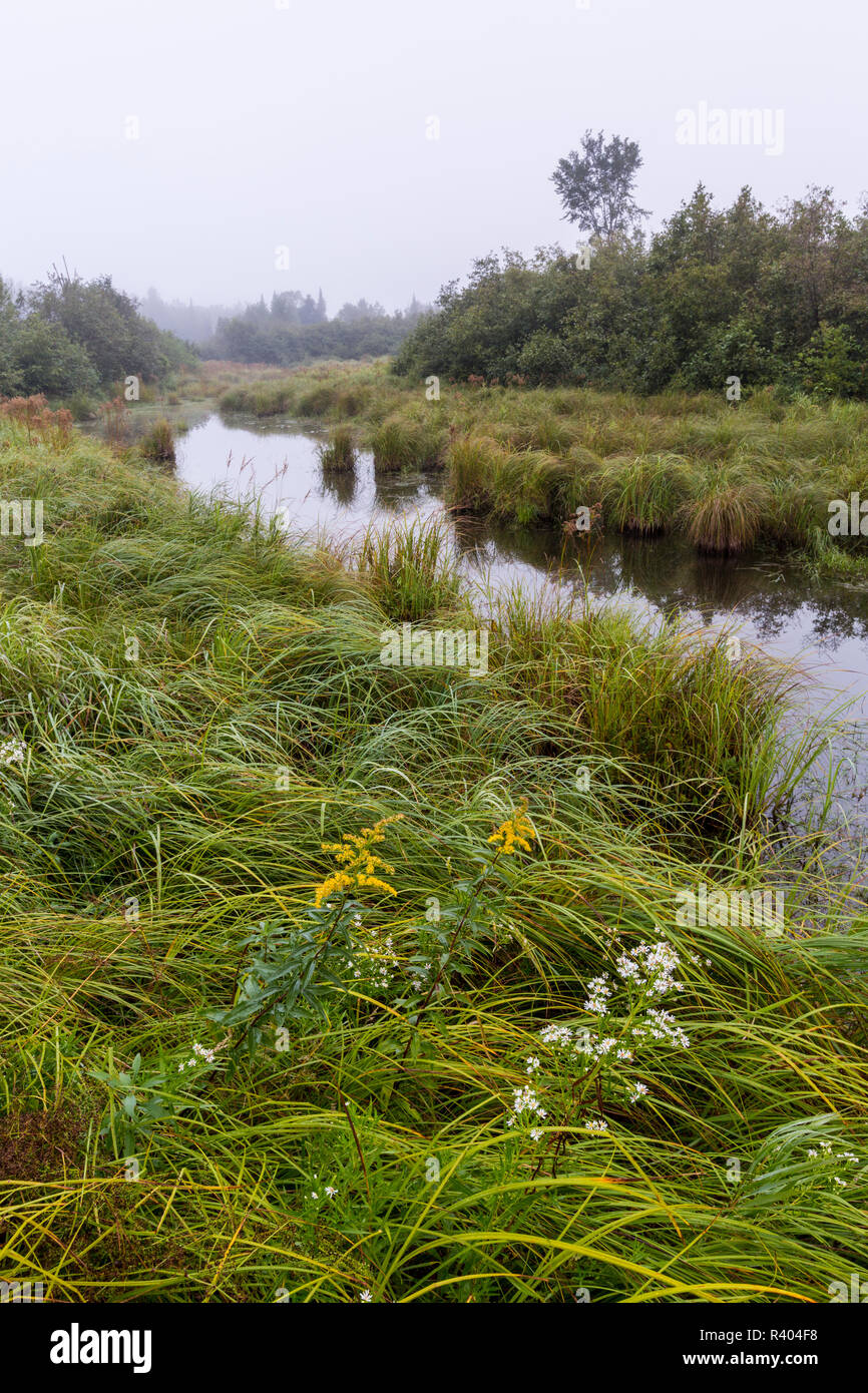 Wetlands Reed Plantation, Reed, Maine Stock Photo Alamy