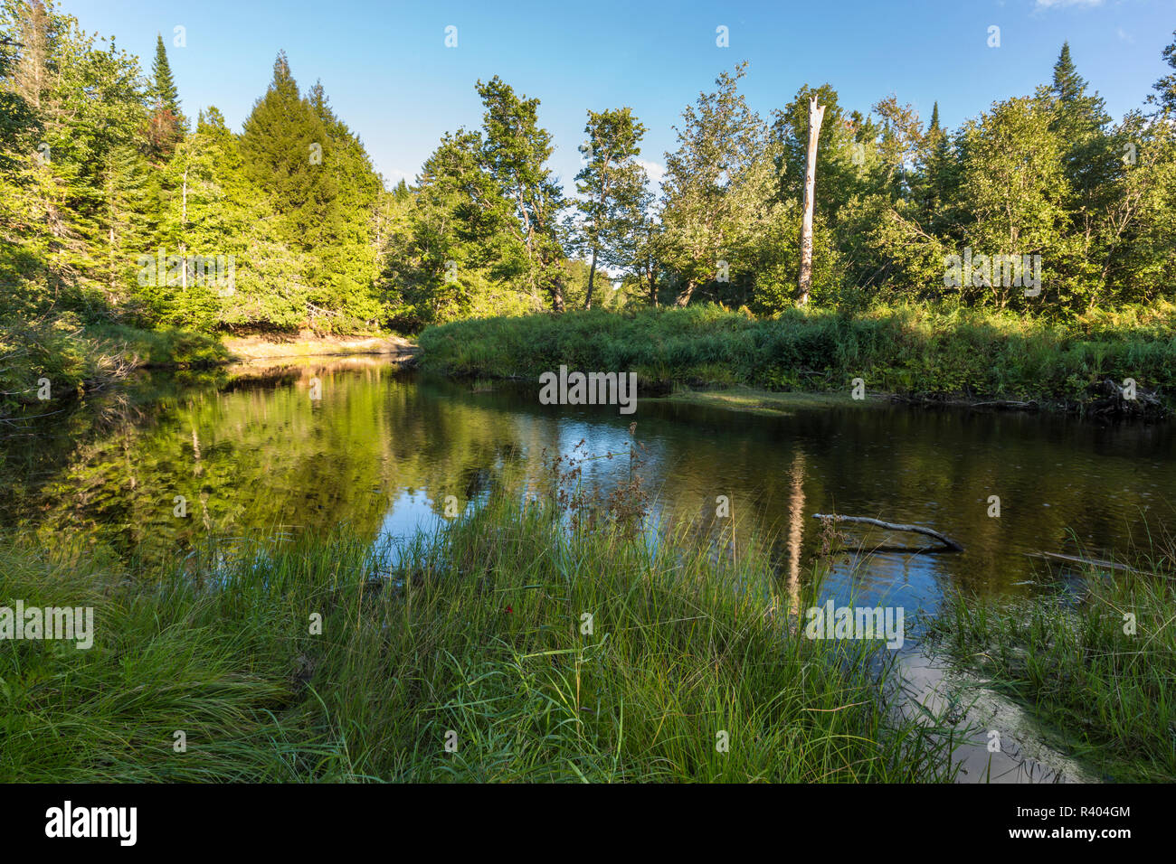 Wytipitlock Stream Reed Plantation, Reed, Maine Stock Photo Alamy