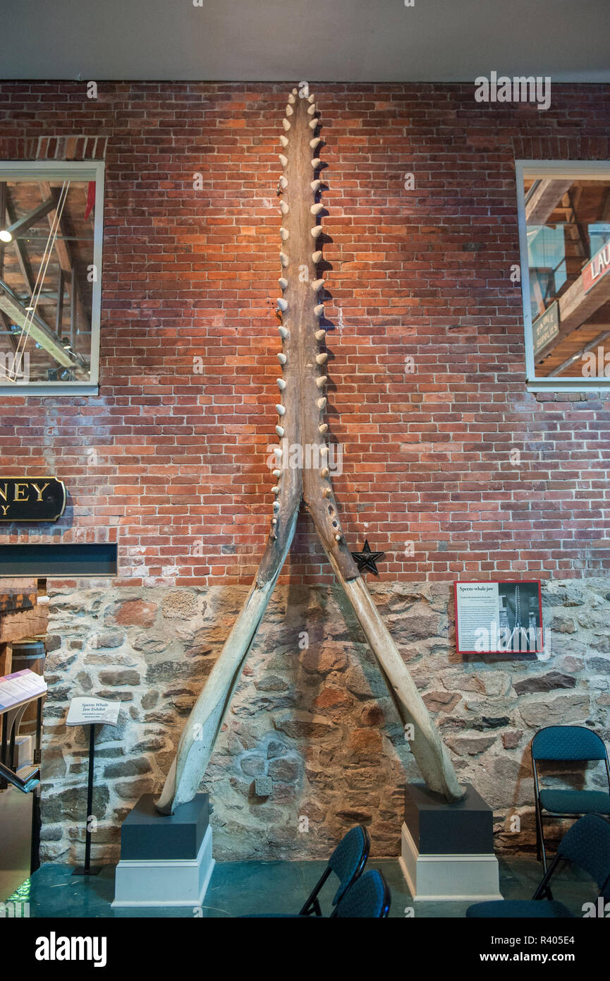 Sperm whale jawbone, Whaling Museum, Nantucket, Massachusetts, USA Stock Photo