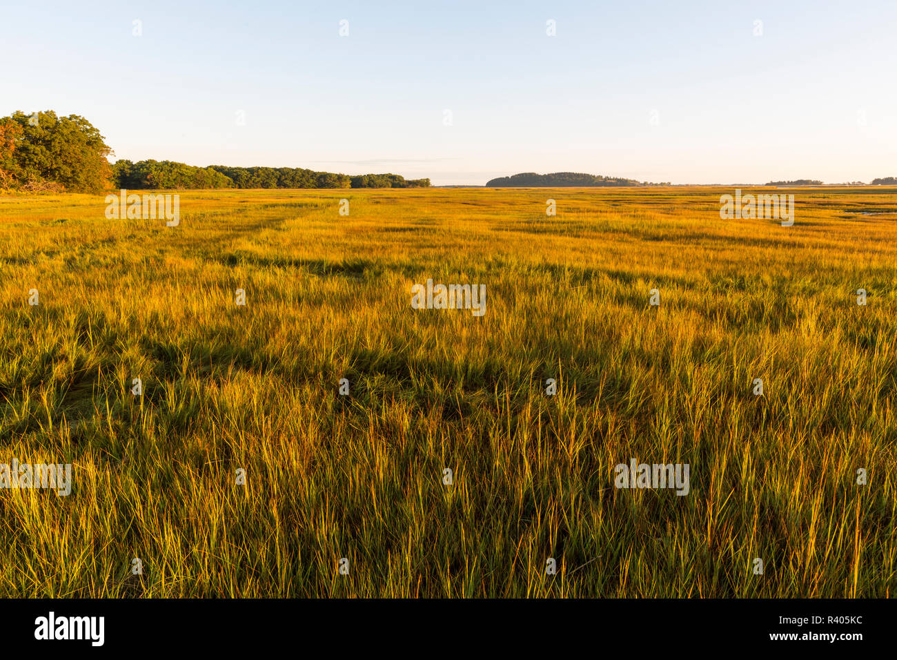Essex River salt marsh at the Cox Reservation in Essex, Massachusetts. Stock Photo