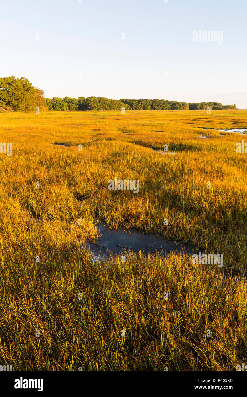 Essex River salt marsh at the Cox Reservation in Essex, Massachusetts. Stock Photo