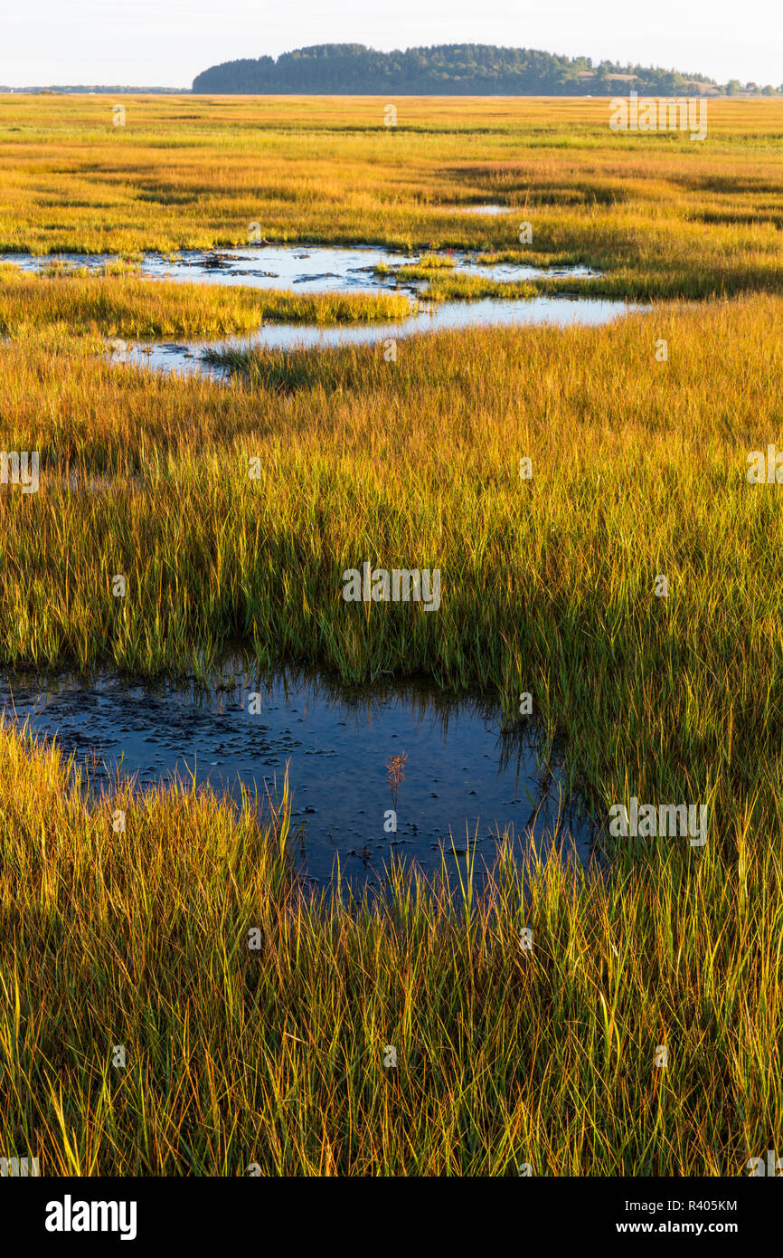 Essex River salt marsh at the Cox Reservation in Essex, Massachusetts. Stock Photo