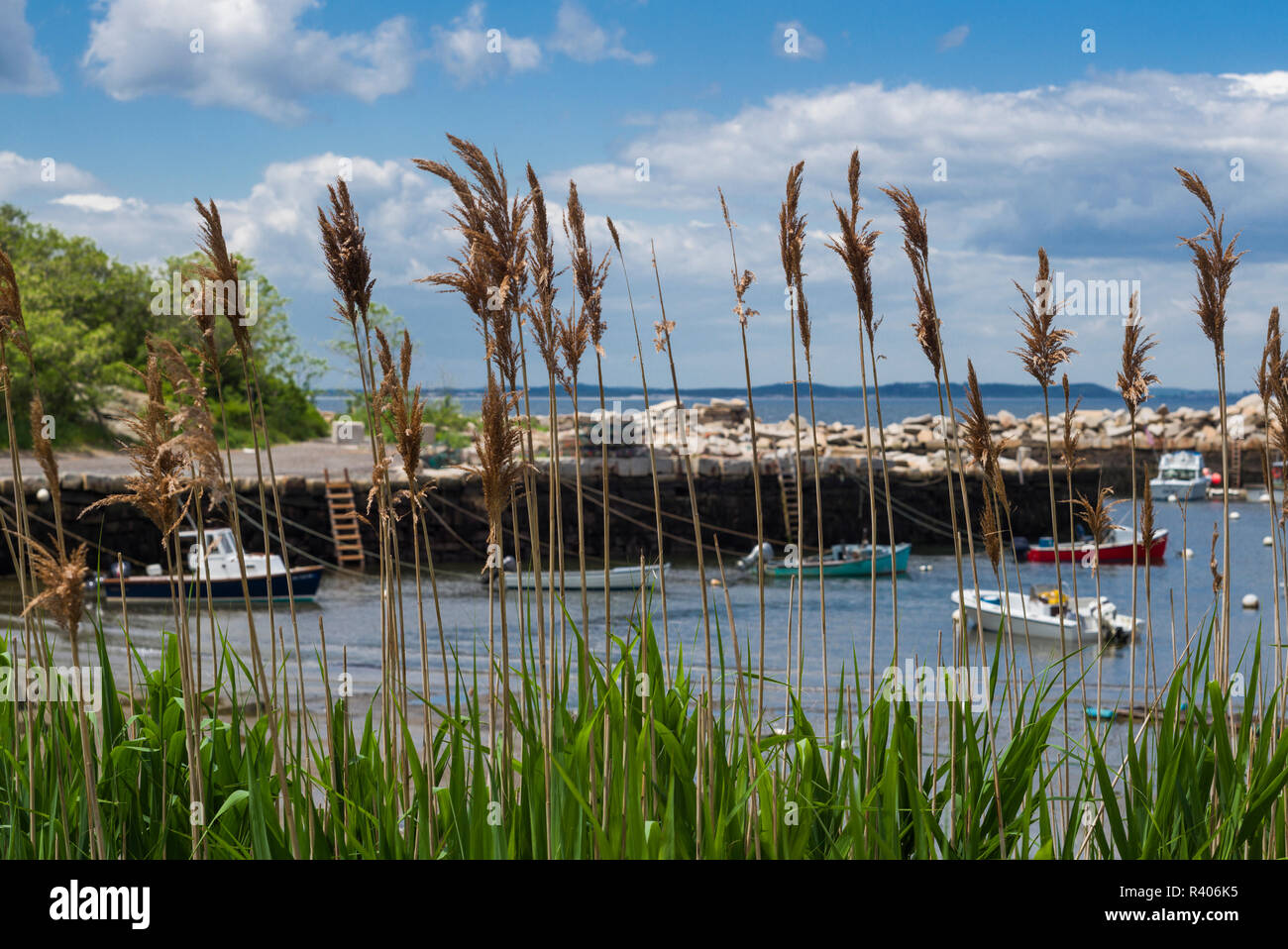 Lanesville hires stock photography and images Alamy