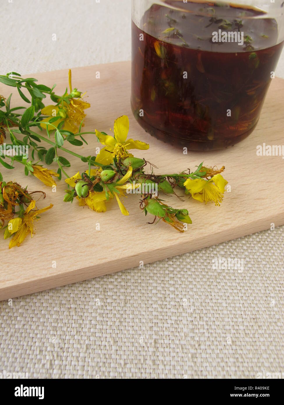 maceration of pickled st. john's wort in olive oil Stock Photo
