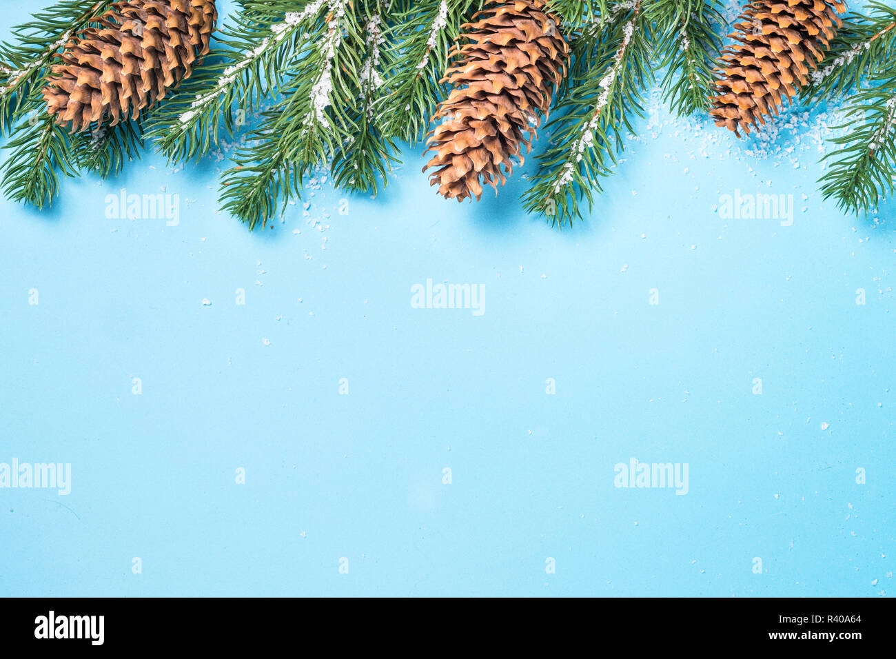 Snow Fir tree branch and cones on blue background Stock Photo - Alamy
