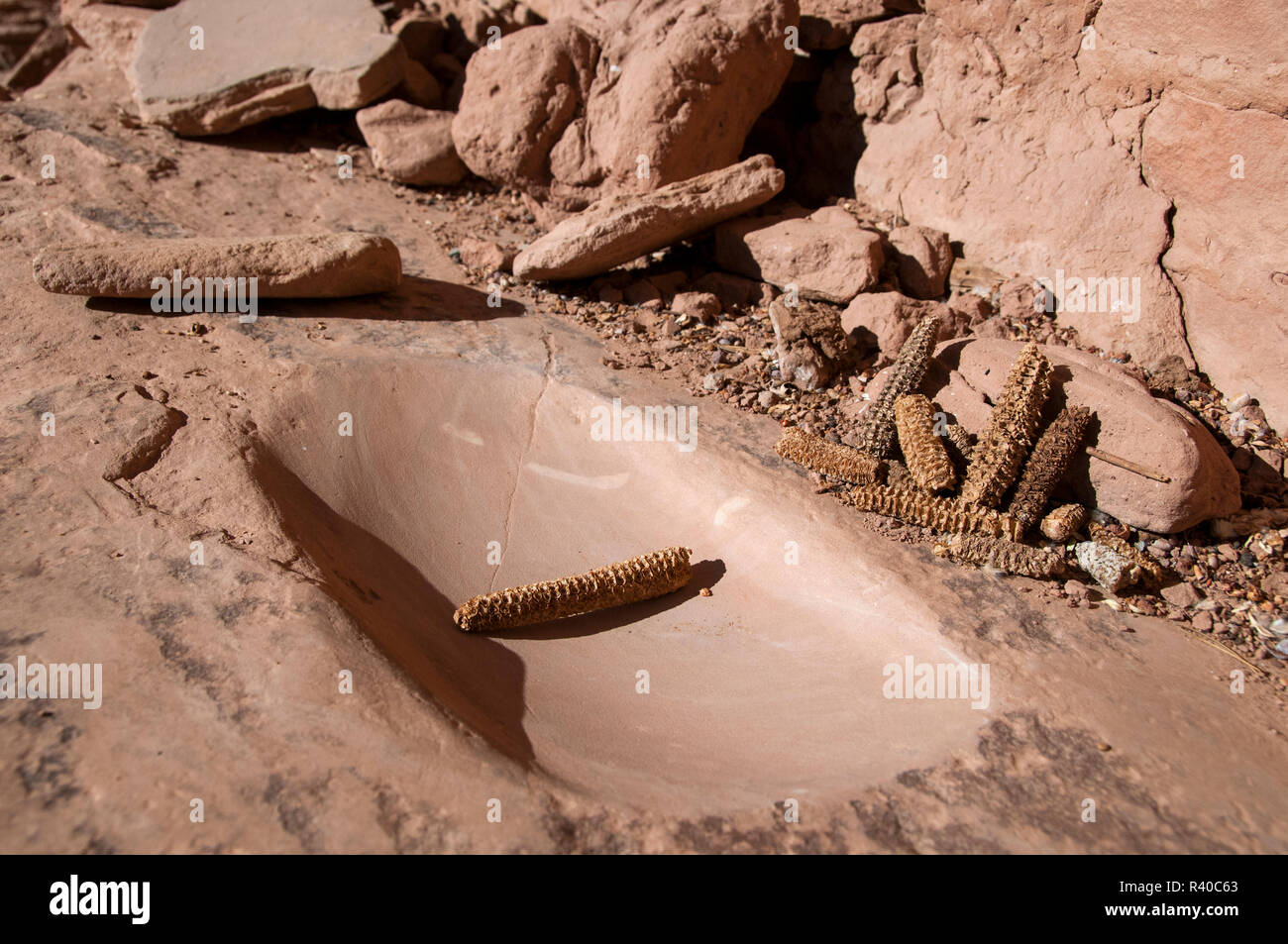 Utah Native American Corn and Grinding Stone Stock Photo Alamy