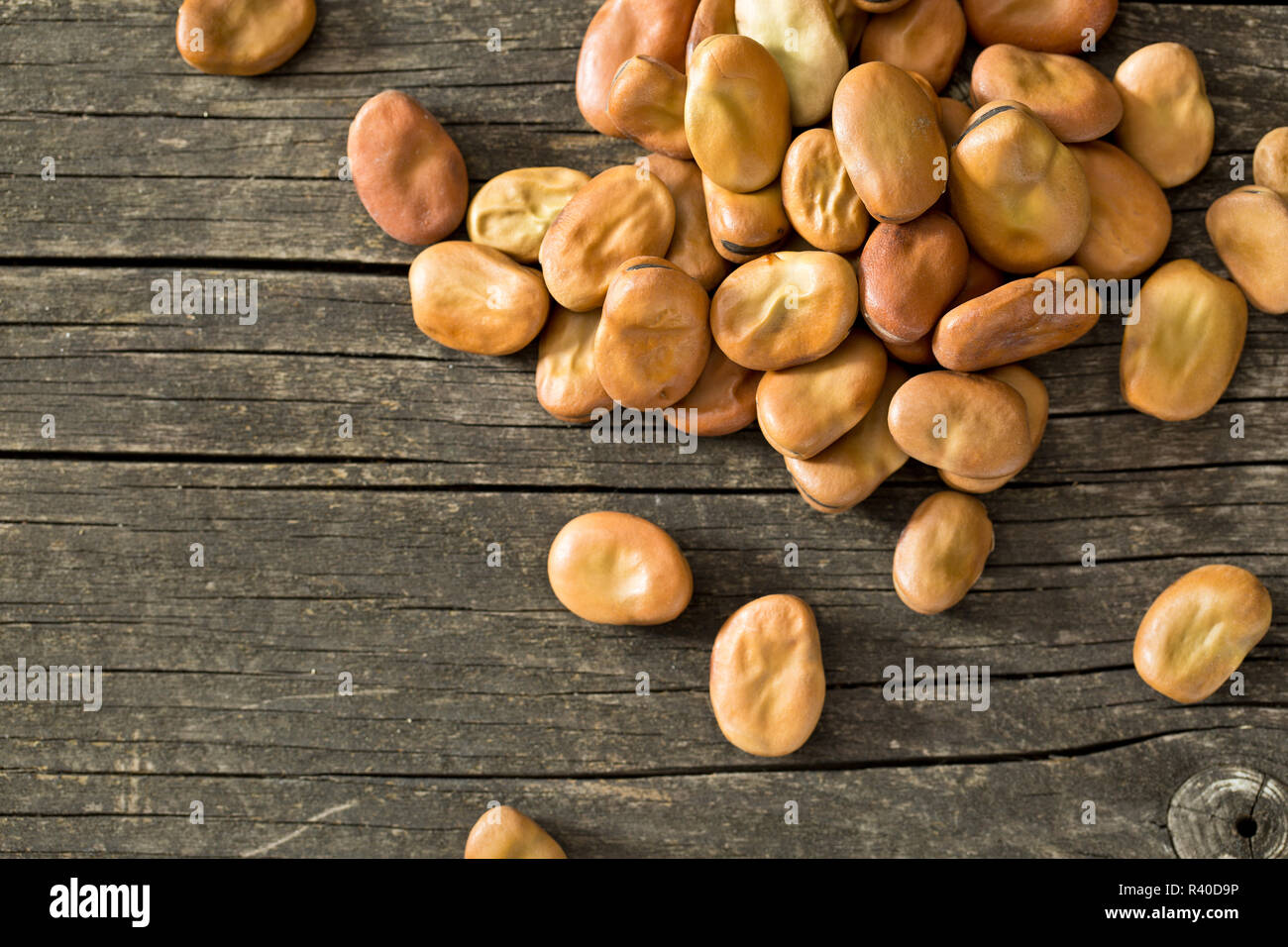 dried broad beans Stock Photo Alamy