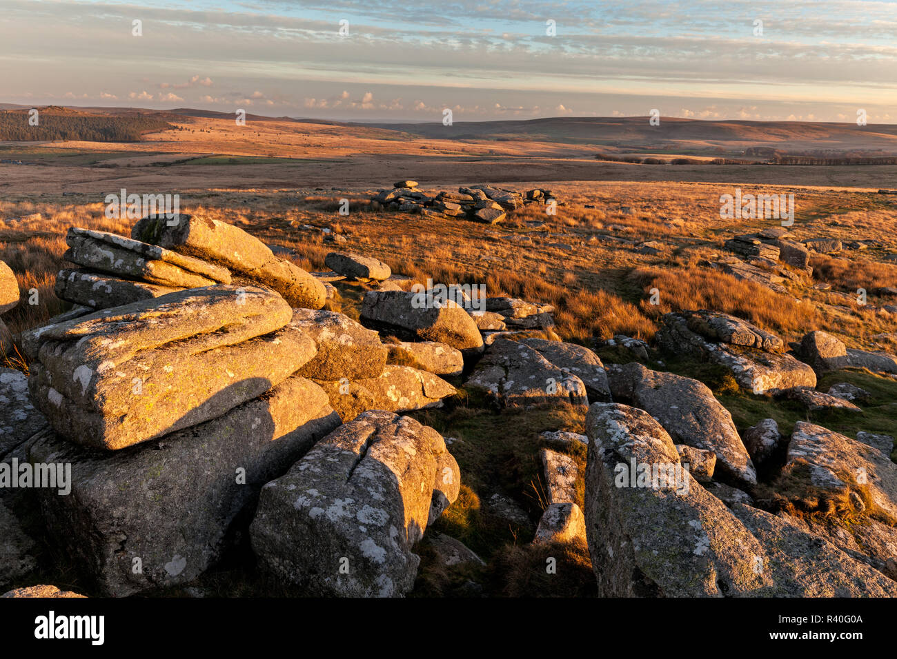 Late afternoon at Little Bee Tor, Dartmoor national park, England Stock Photo
