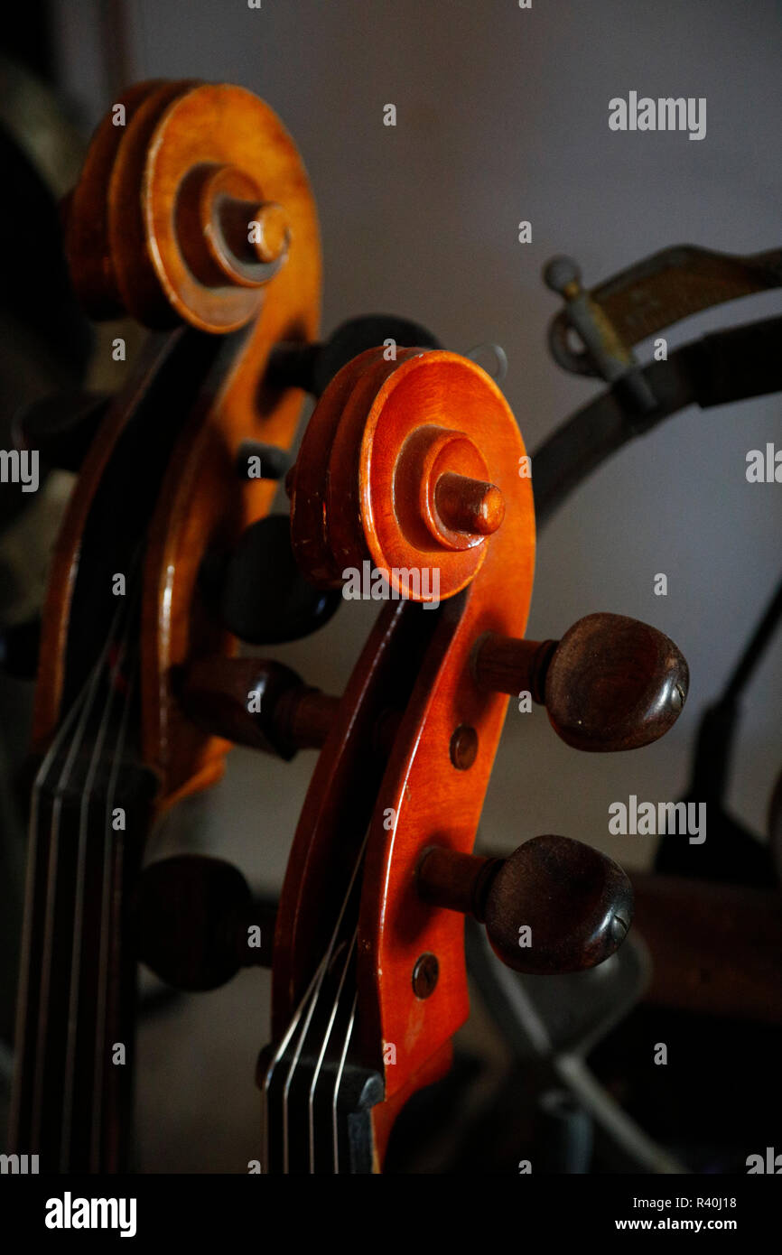 Violins, Brooklyn, New York, USA. Editorial Use Only Stock Photo Alamy