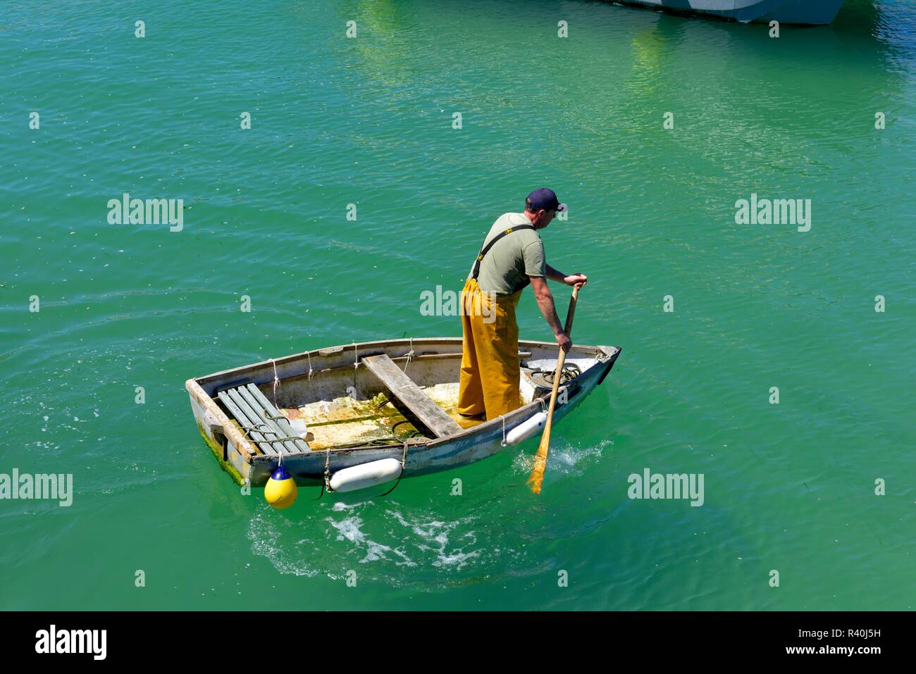 Fisherman standing up paddling a small rowing boat across St Ives Harbour,Cornwall,England,UK Stock Photo