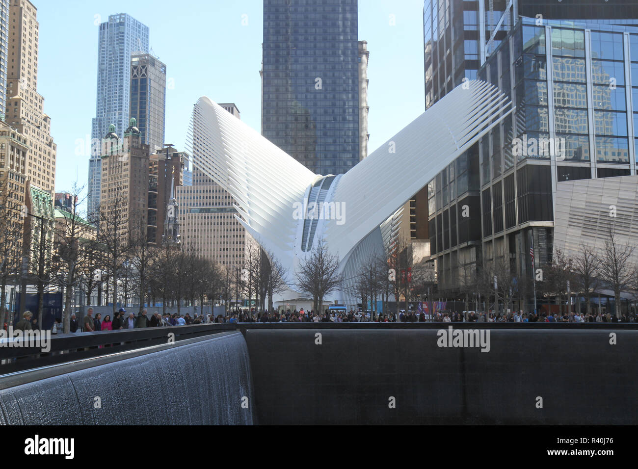 The National September 11 Memorial Museum (white structure) seen from across one of the pools of the National September 11 Memorial, New York, USA Stock Photo