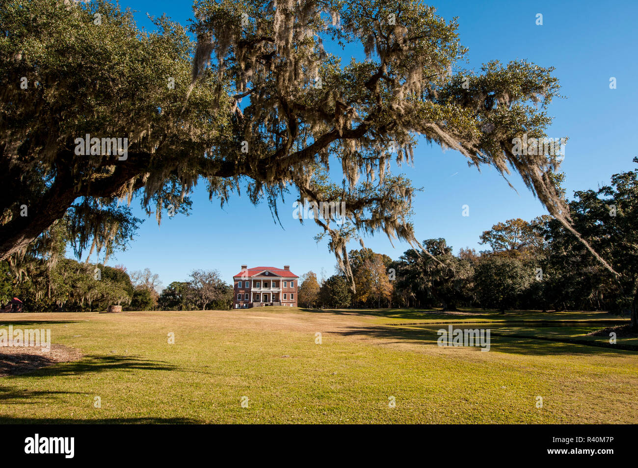 Spanish moss covered tree and the Drayton Hall 18thcentury plantation