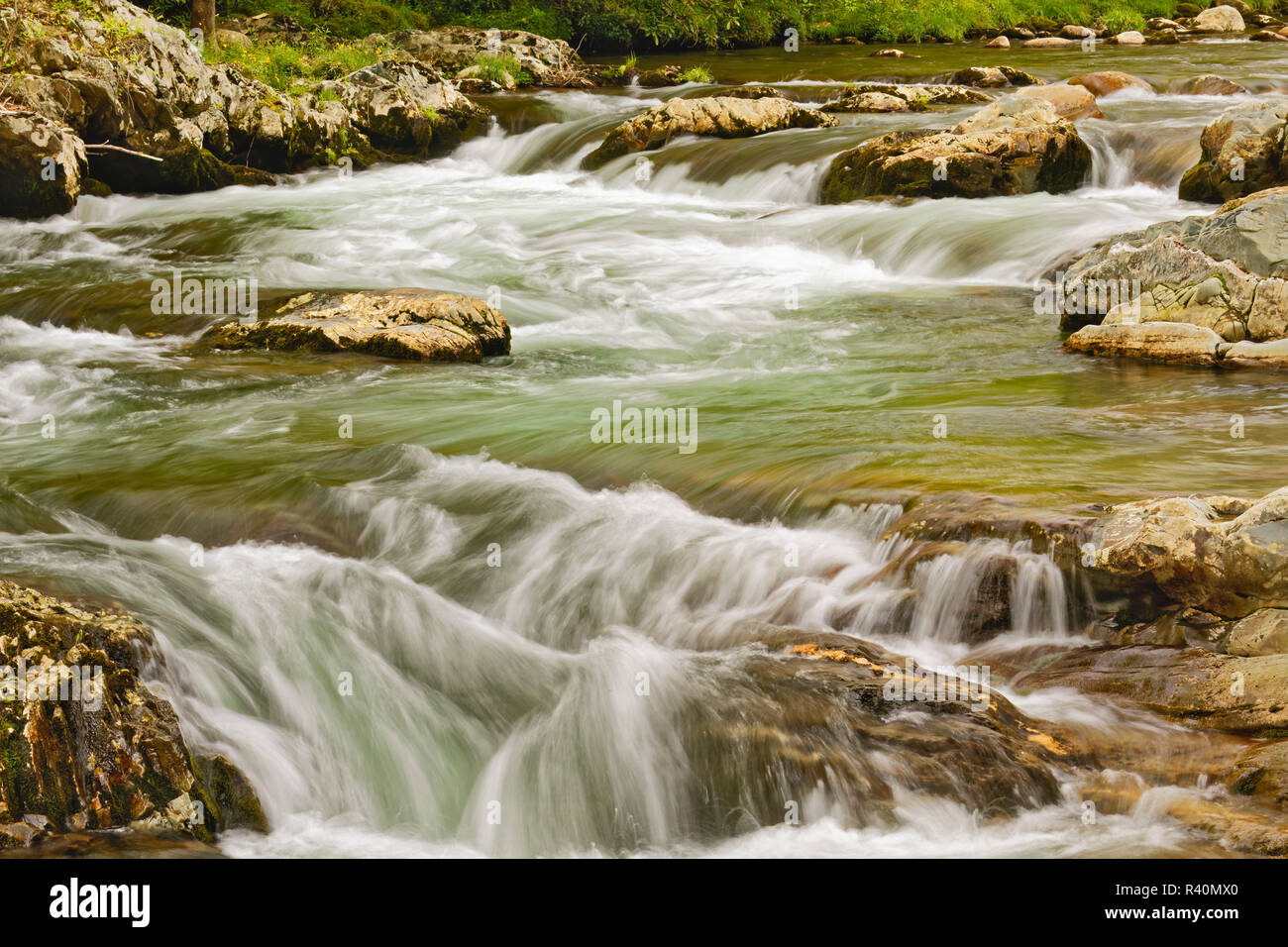 Little Pigeon River, Greenbrier, Great Smoky Mountains, National Park, Tennessee Stock Photo
