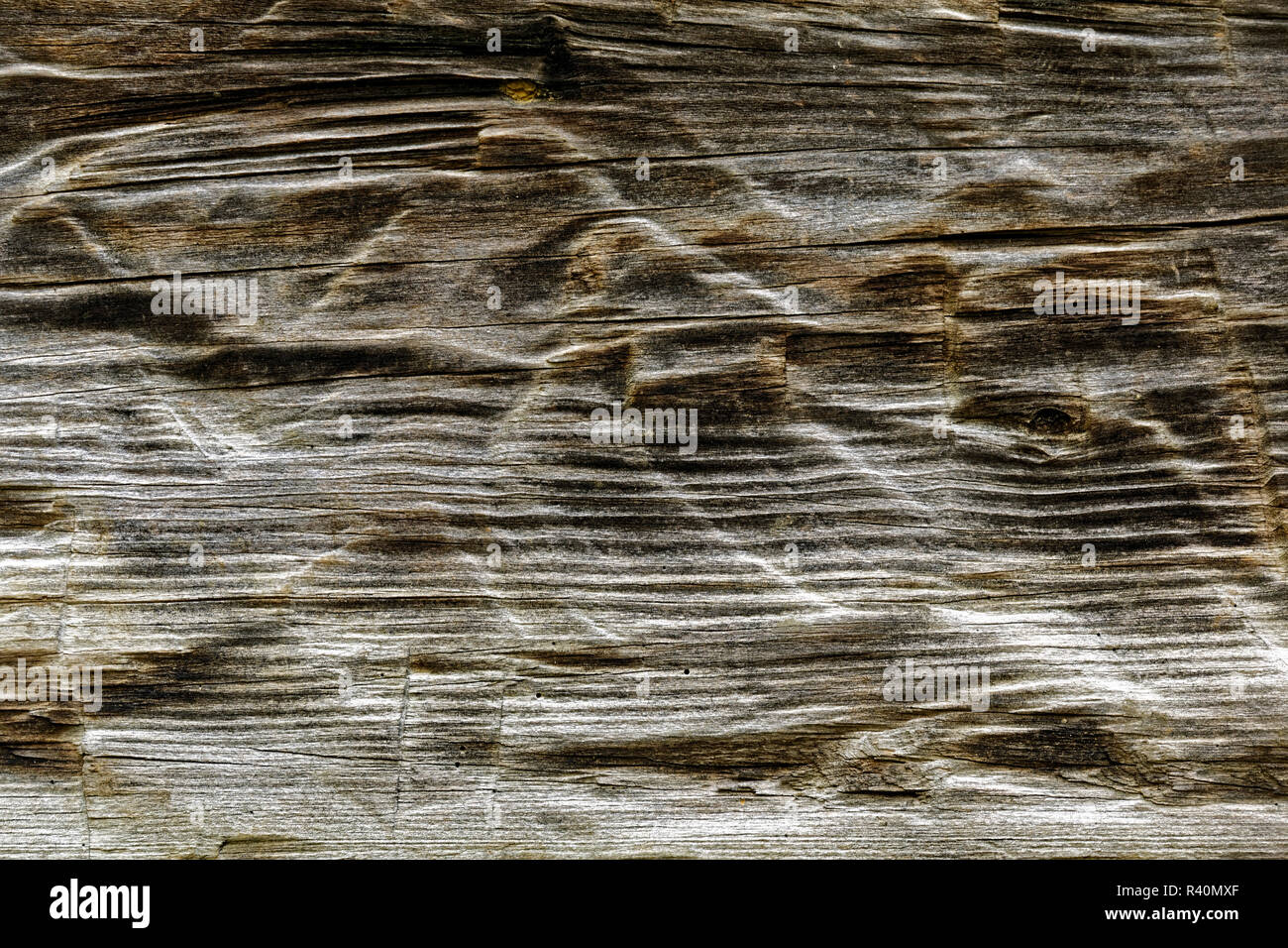 Weathered wood on Noah 'Bud' Ogle cabin and barn, Great Smoky Mountains National Park, Tennessee Stock Photo