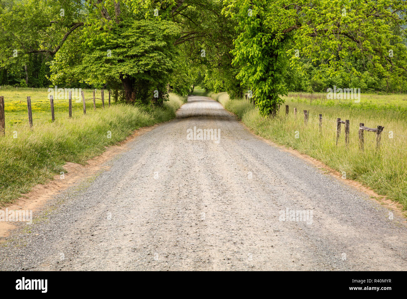 Sparks Lane, Cades Cove, Great Smoky Mountains National Park, Tennessee