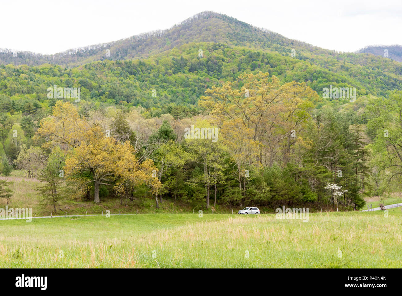 Spring Landscape Cades Cove Stock Photos Spring Landscape Cades