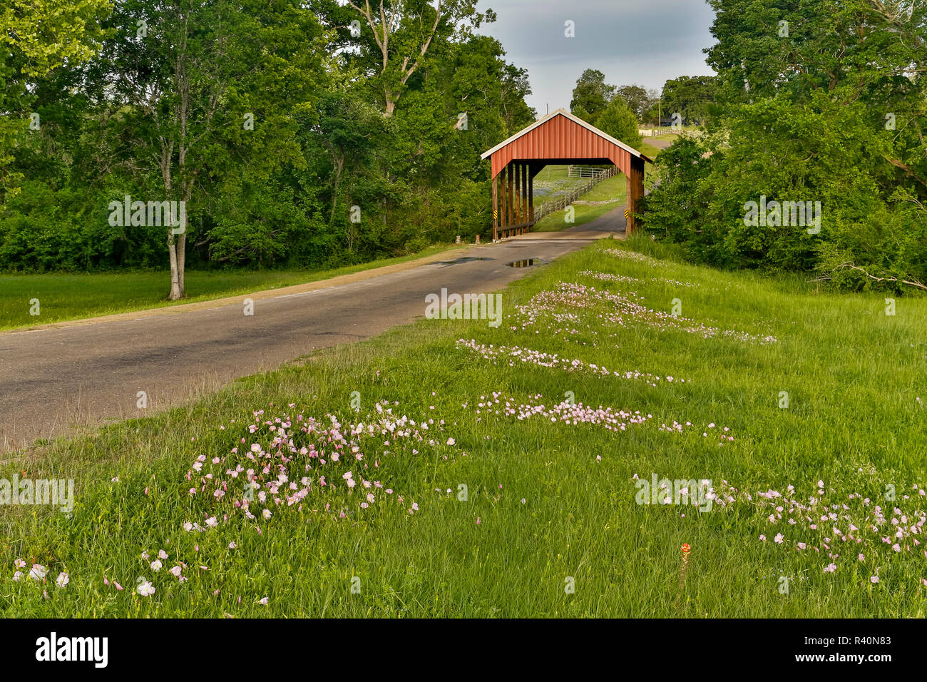Chappell hill hires stock photography and images Alamy