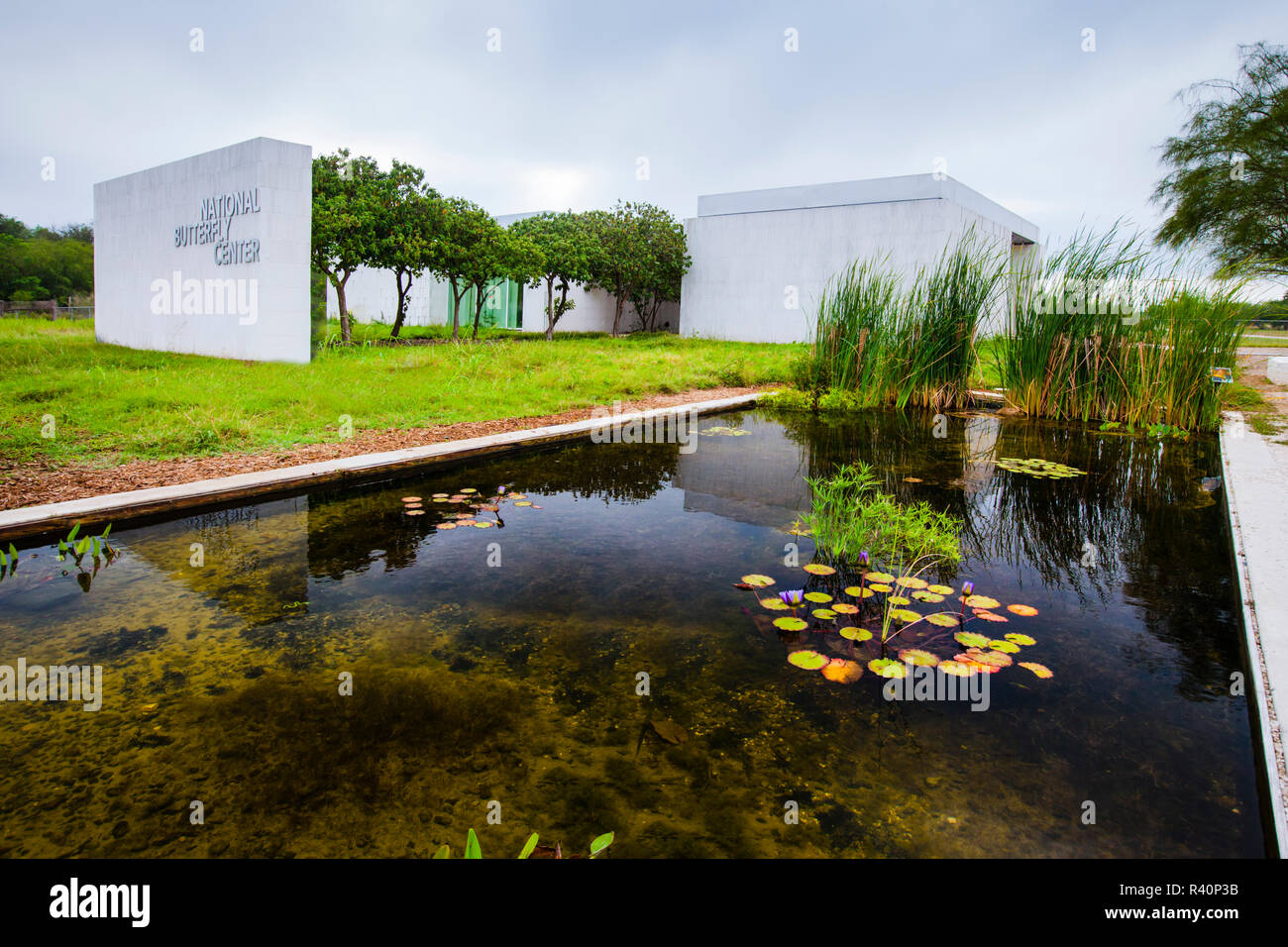 National Butterfly Center in Mission, Texas Stock Photo Alamy