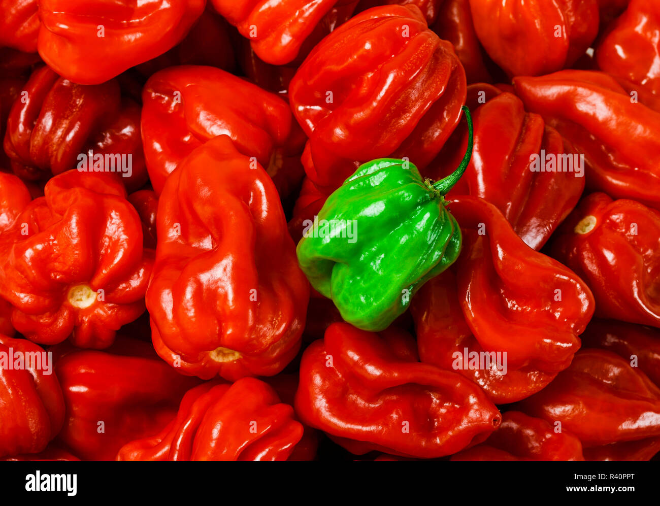 One red and many green peppers hi-res stock photography and images - Alamy