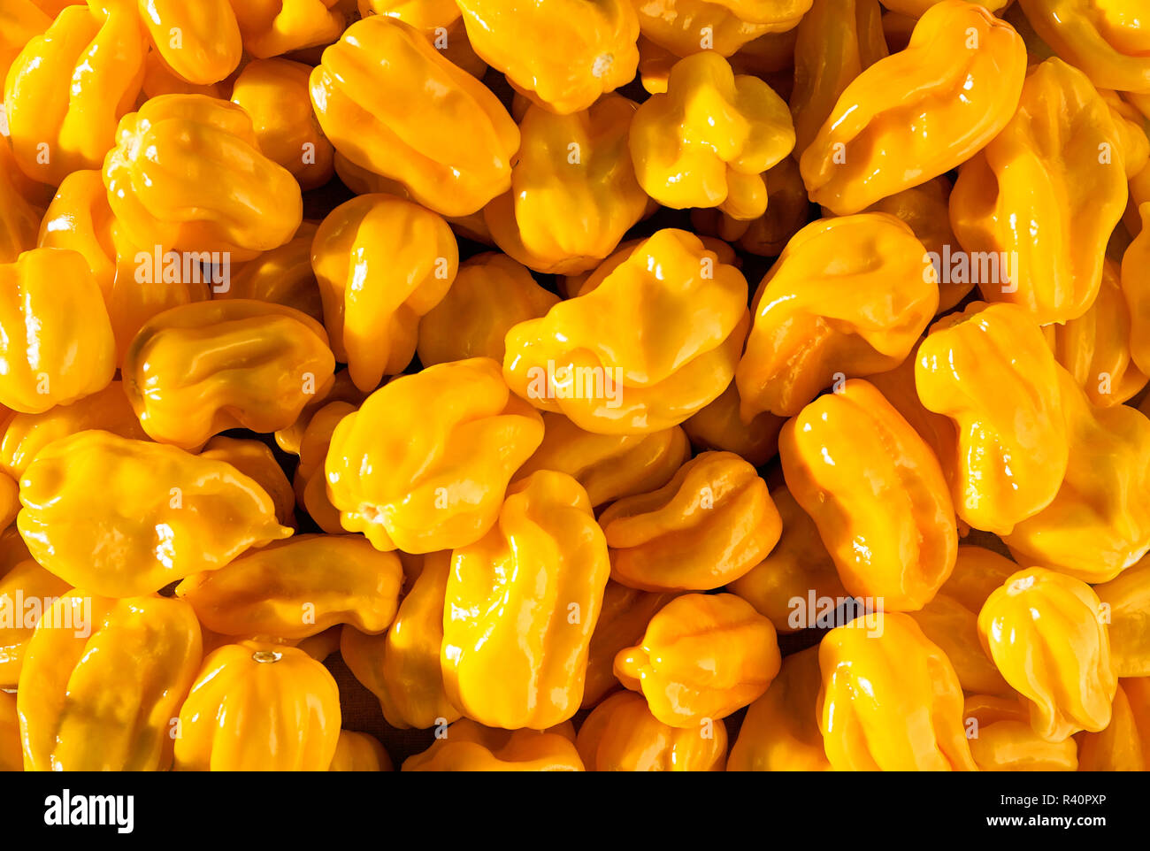 yellow spicy habaneros Stock Photo