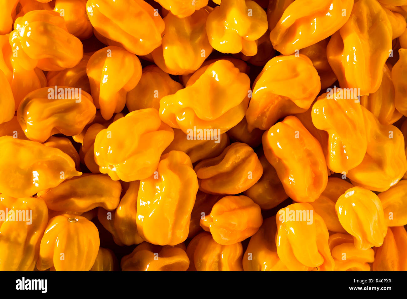 yellow habaneros in a heap Stock Photo