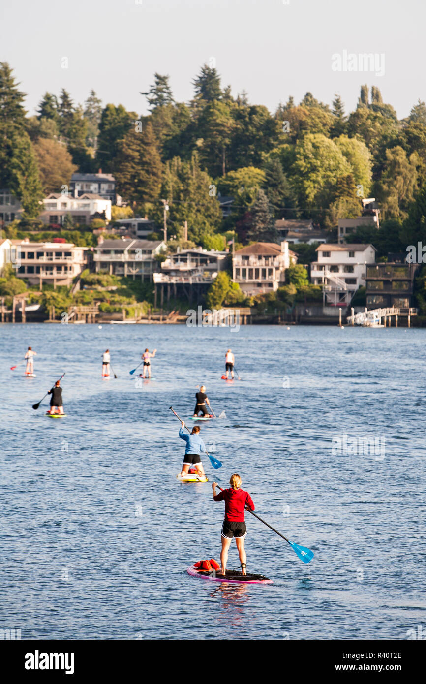 USA, Washington State, Seattle, group of people on stand up paddleboards in Salmon Bay Stock Photo