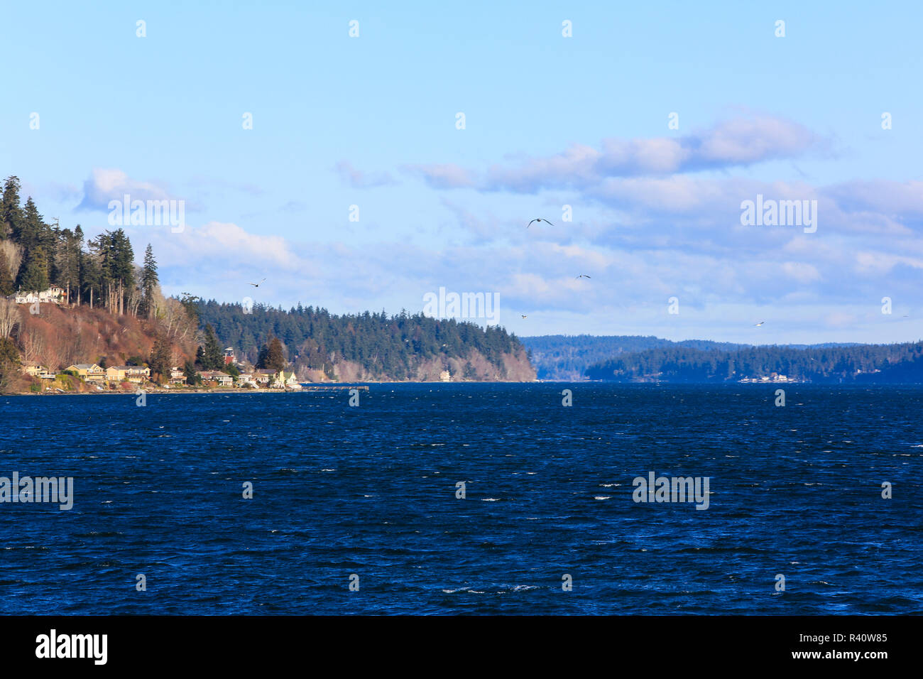 Bremerton, Washington State. White caps, seagulls and pastel clouds over the Puget Sound and the Kitsap Peninsula Stock Photo