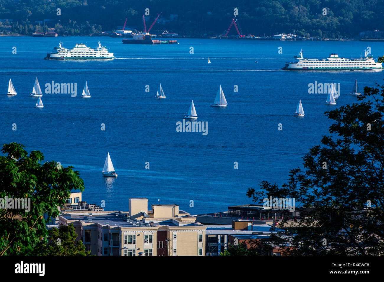 Seattle, Washington State. Two ferry boats, sailboat racing regatta, buildings and port industry Stock Photo