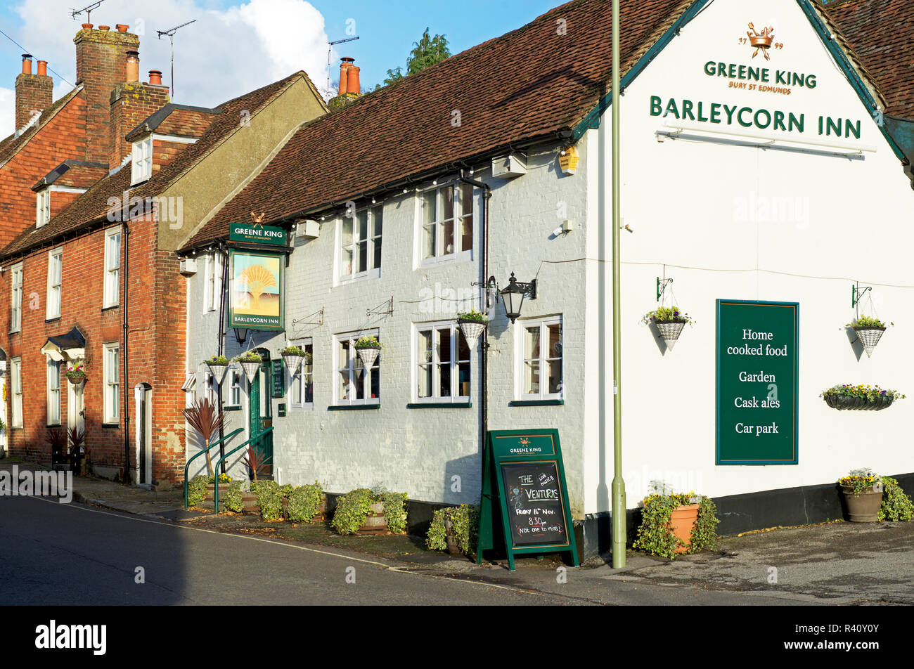 The Barleycorn Inn, Waltham, Hampshire, England UK Stock Photo