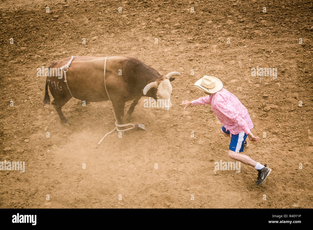 Taos, New Mexico, USA. Small town western rodeo. Rodeo clown distracts a bull at a bull riding competition. Stock Photo