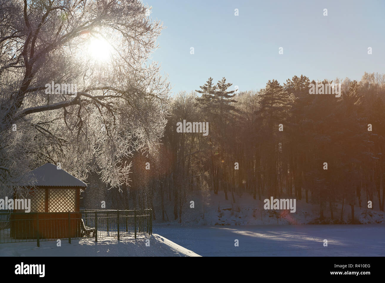 Freezing winter theme background. Garden house and bench under big white frozen tree on sunny day Stock Photo