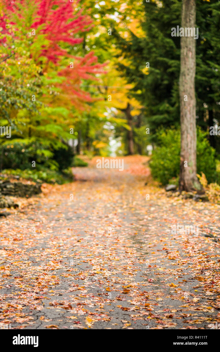 USA, Western New York, Chautauqua, Chautauqua Institution Historic