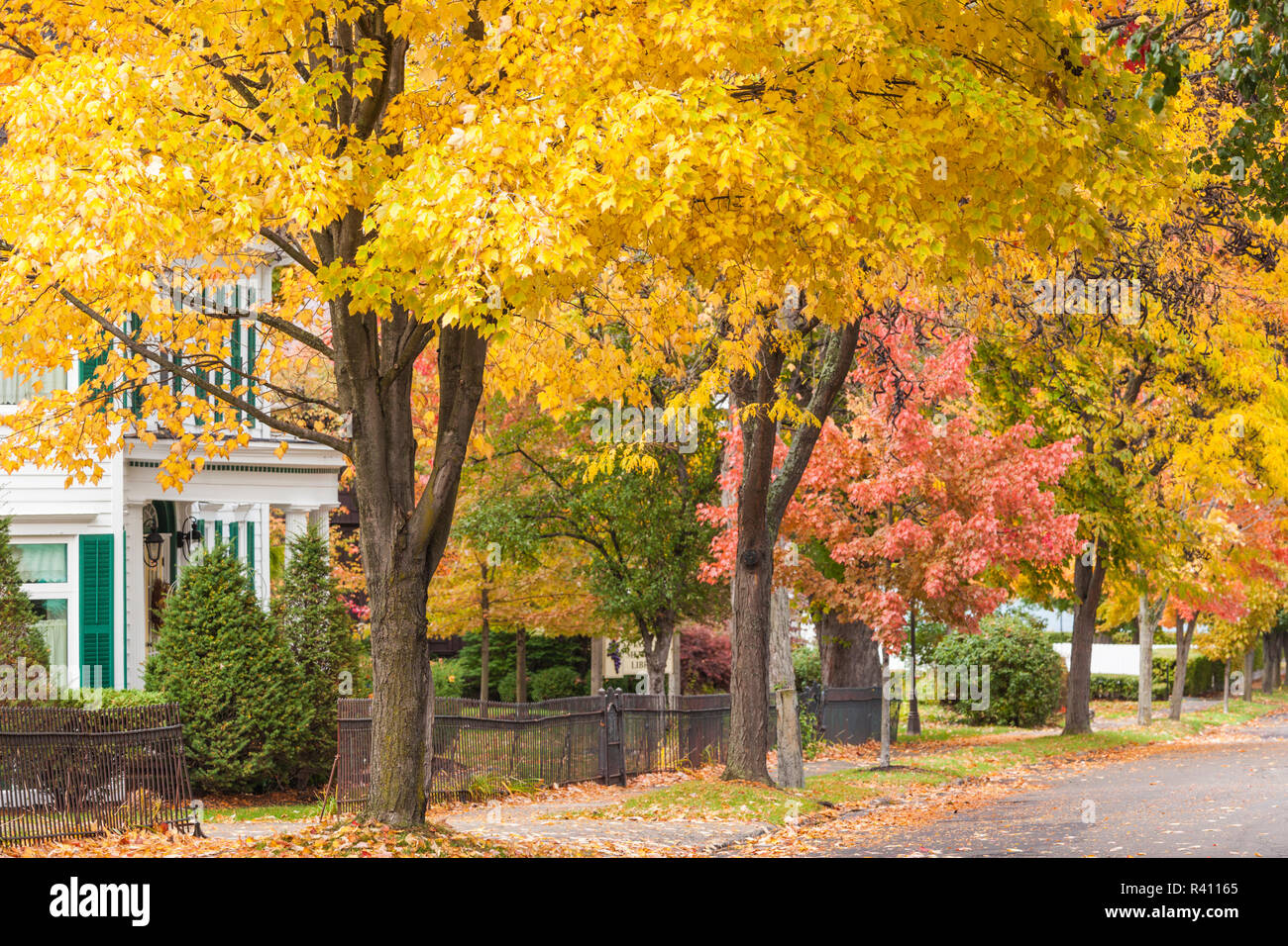 USA, New York, Finger Lakes Region, Hammondsport, village center