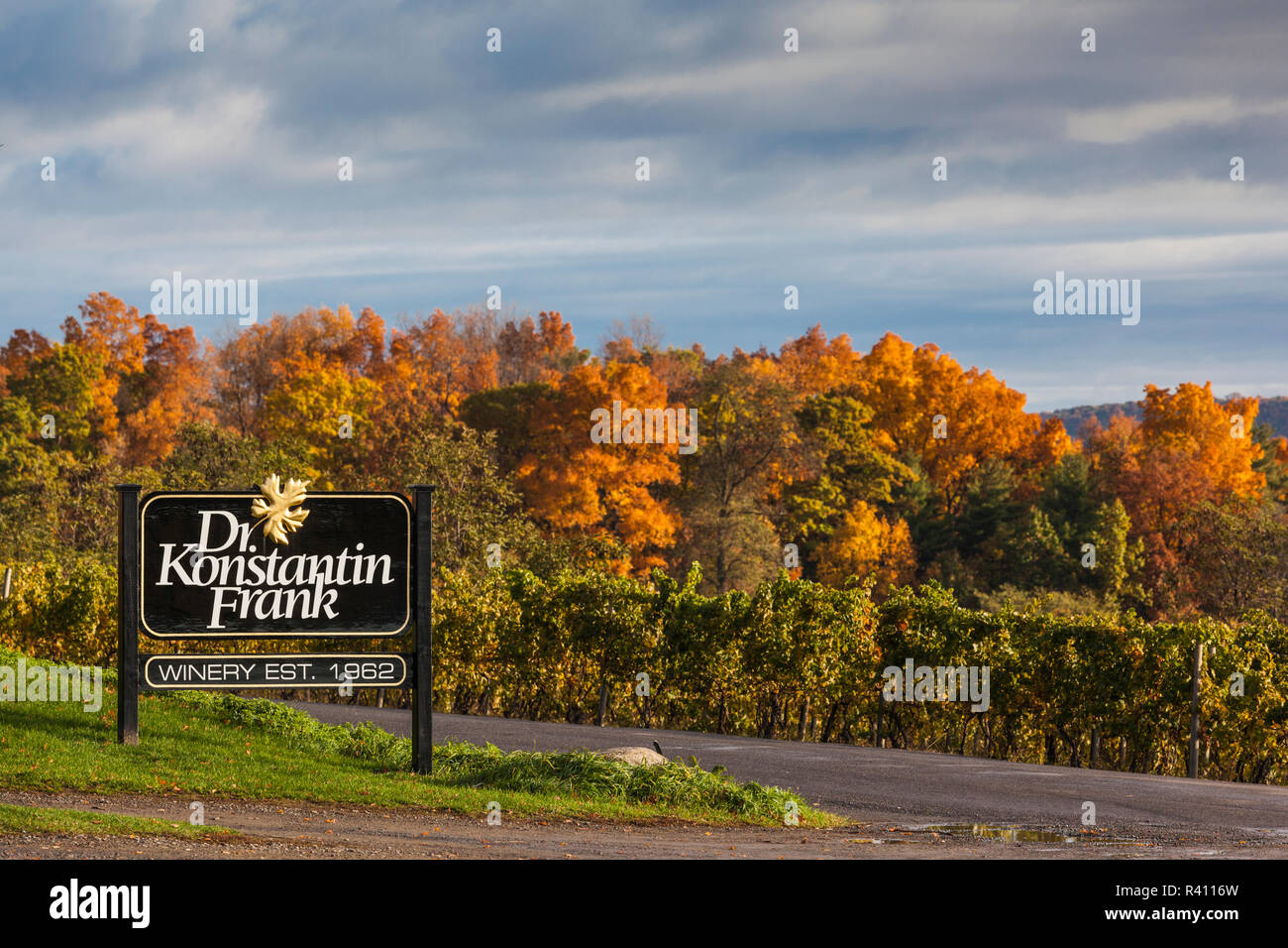 USA, New York, Finger Lakes Region, Hammondsport, Dr. Konstantin Frank