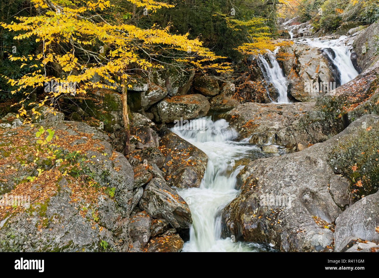 Sunburst Falls in autumn, Forest Scenic Byway, Pisgah National Forest, North Carolina Stock