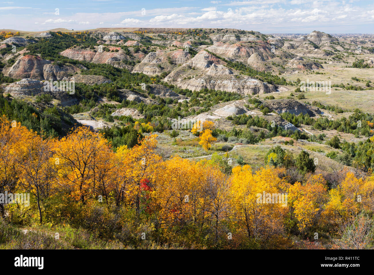 Jamie and judy wild north dakota hi-res stock photography and images ...