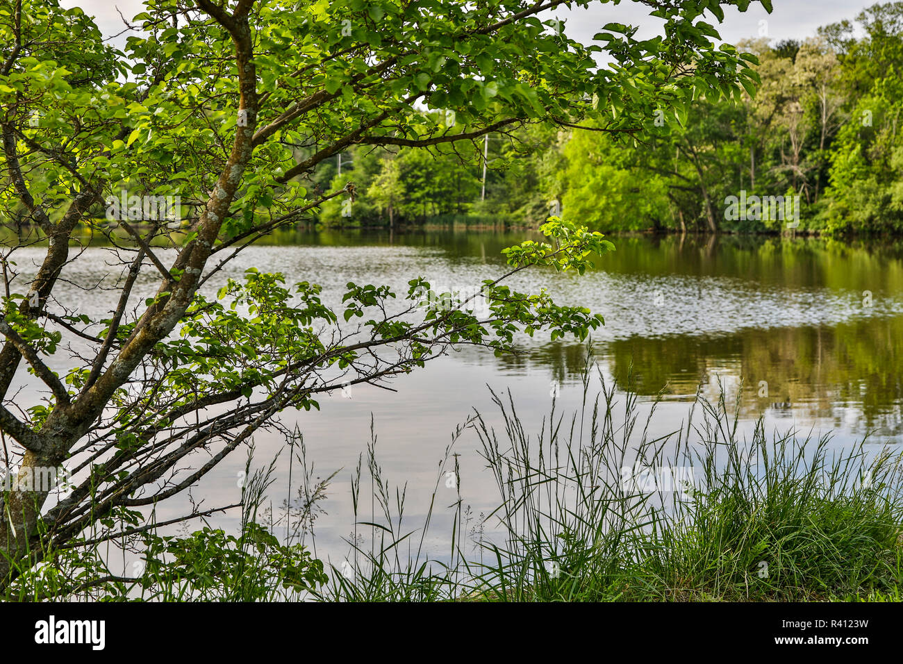 USA, Ohio, Shaker Heights, Peaceful morning at Horseshoe Lake Stock