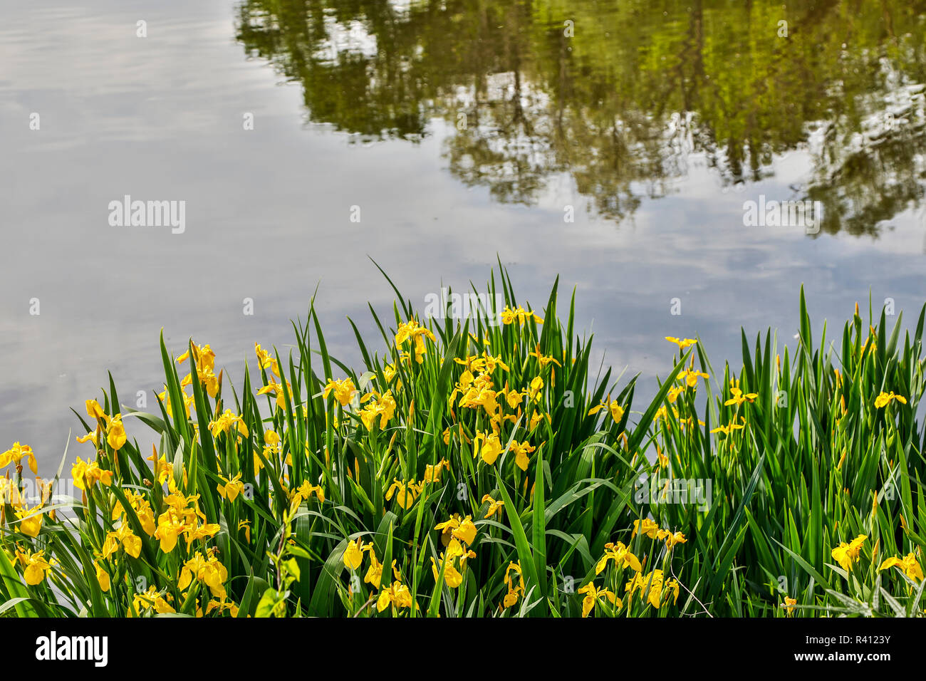 Shaker heights hires stock photography and images Alamy