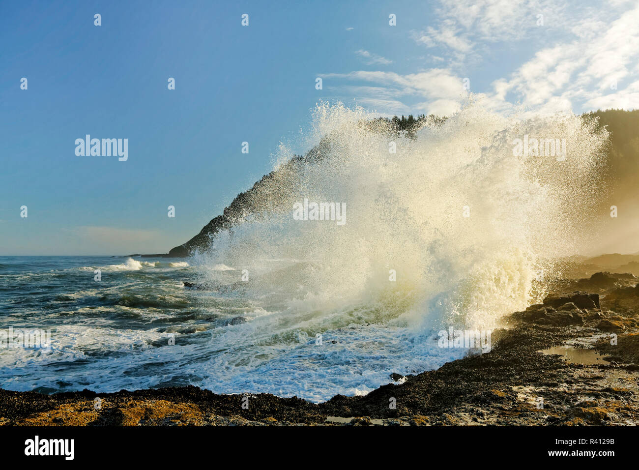 Crashing wave on shoreline, Cape Perpetua, near Yachats, Oregon Stock Photo