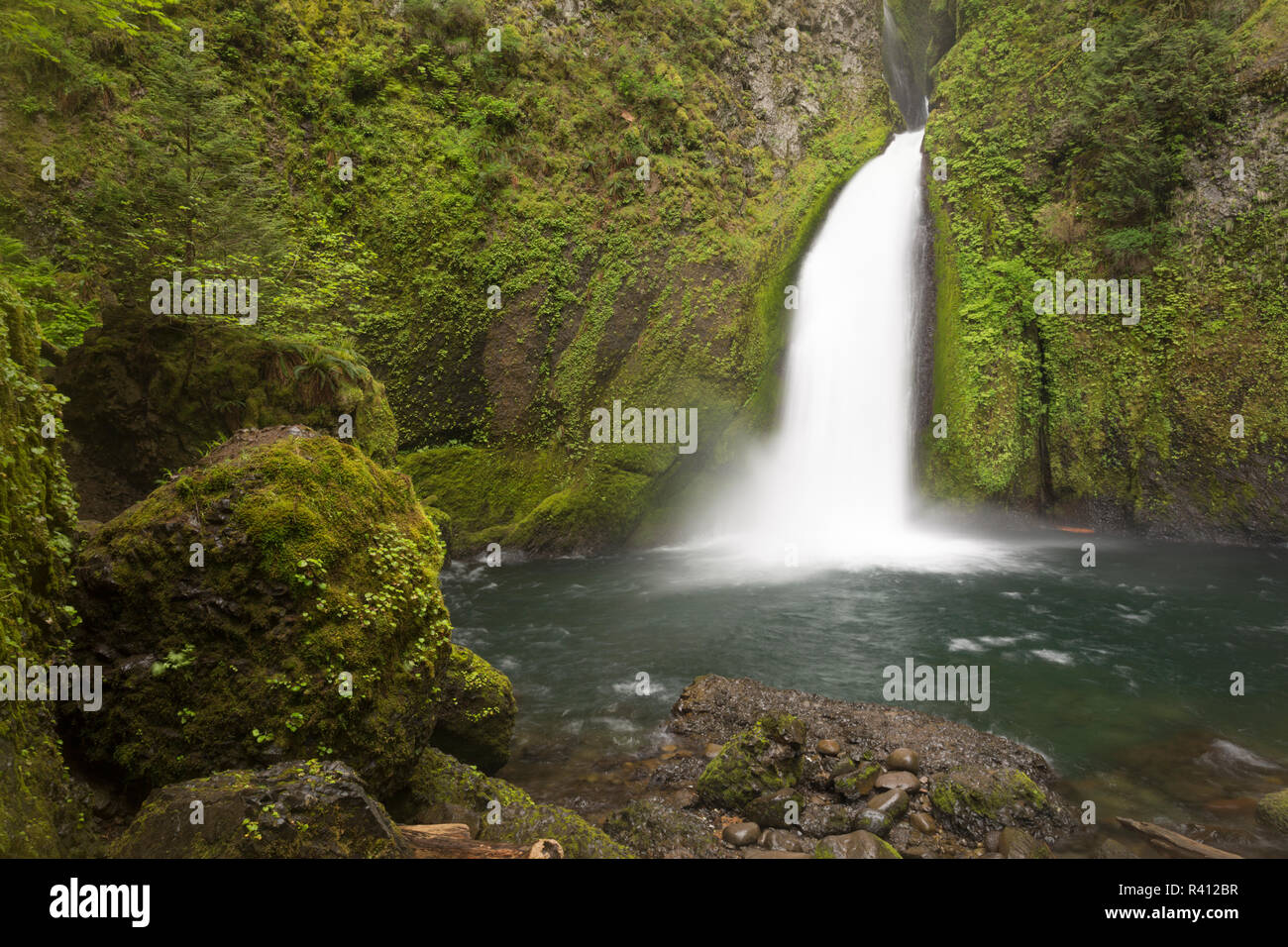 USA Oregon Wahclella Falls In Columbia River Gorge Stock Photo Alamy usa-oregon-wahclella-falls-in-columbia-river-gorge-stock-photo-alamy