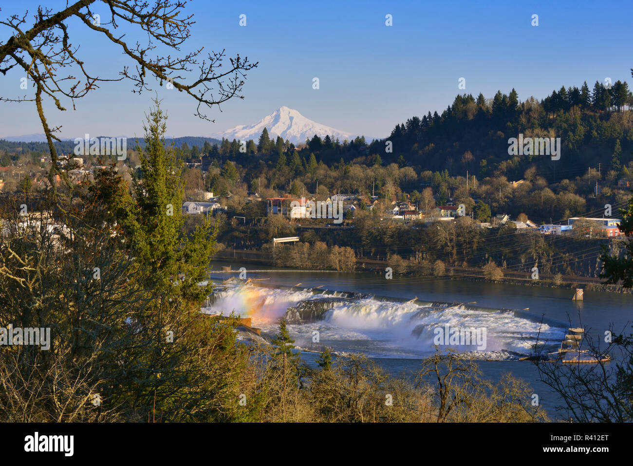 Usa, Oregon, Portland. Mt. Hood and Oregon City Falls on Willamette River. Credit as: Steve Terrill / Jaynes Gallery / DanitaDelimont.com Stock Photo