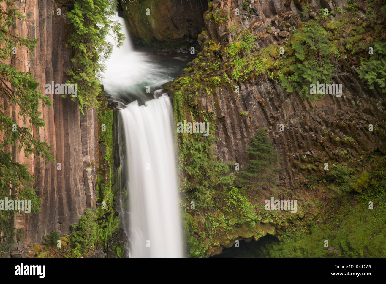 USA, Oregon. Toketee Falls flows over columnar basalt rock cliff. Stock Photo