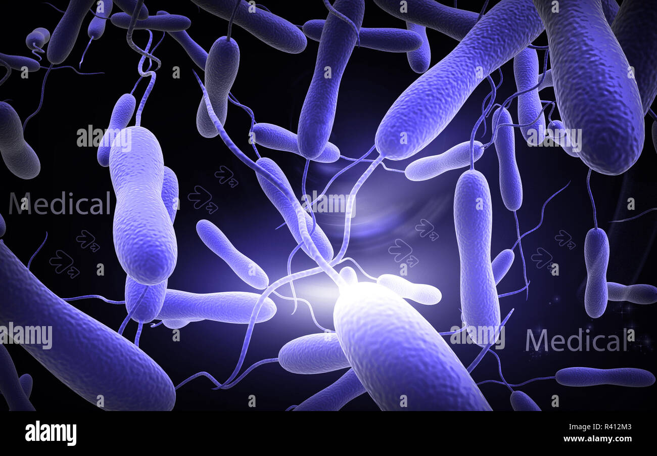 Cholera bacteria Stock Photo