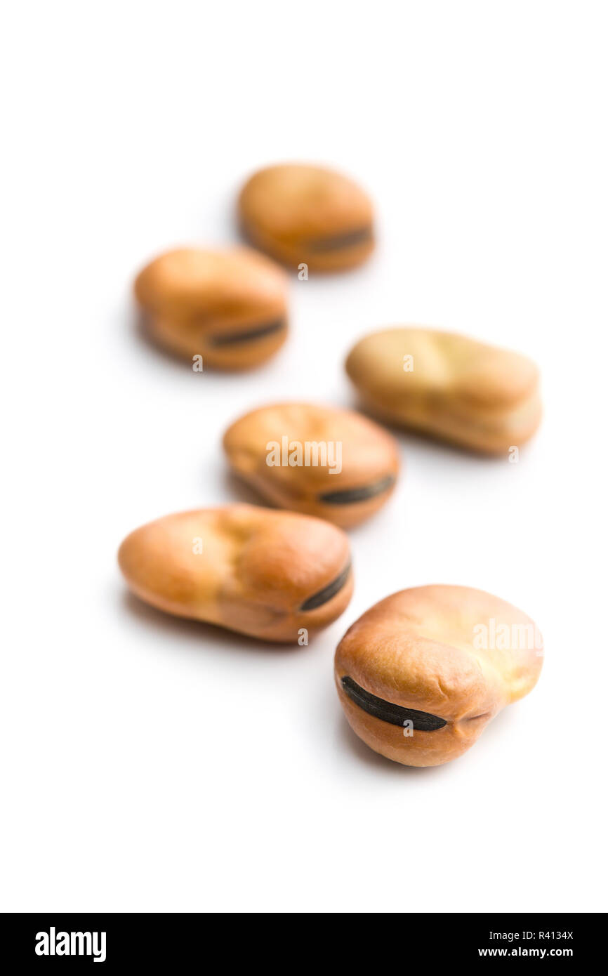 dried broad beans Stock Photo Alamy