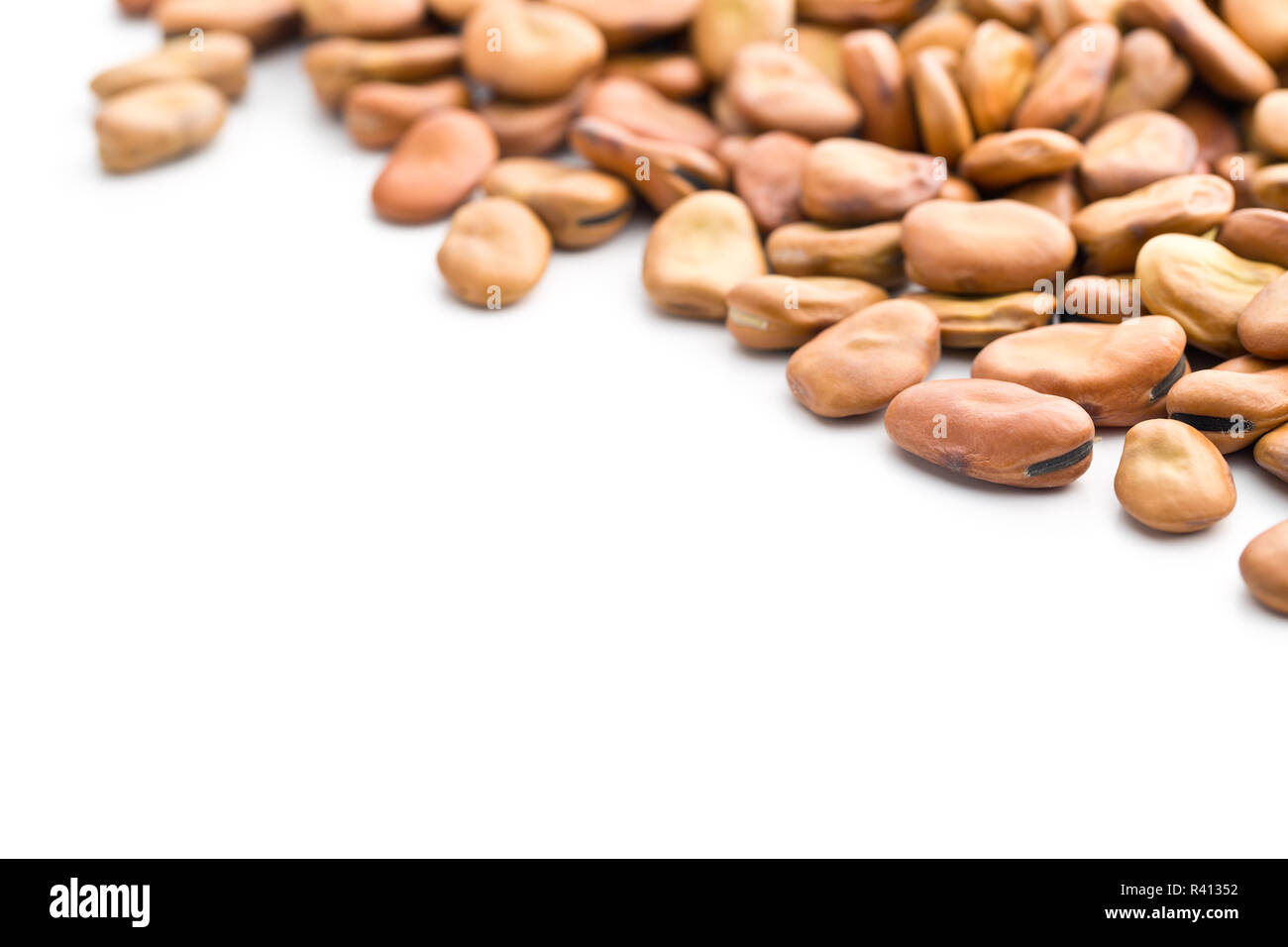 dried broad beans Stock Photo Alamy