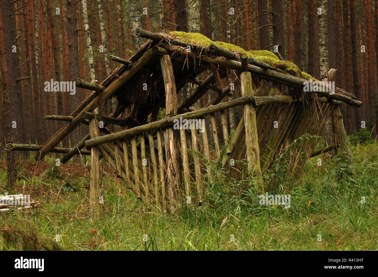 Roe Deer Feeder Stock Photo 226218212 Alamy